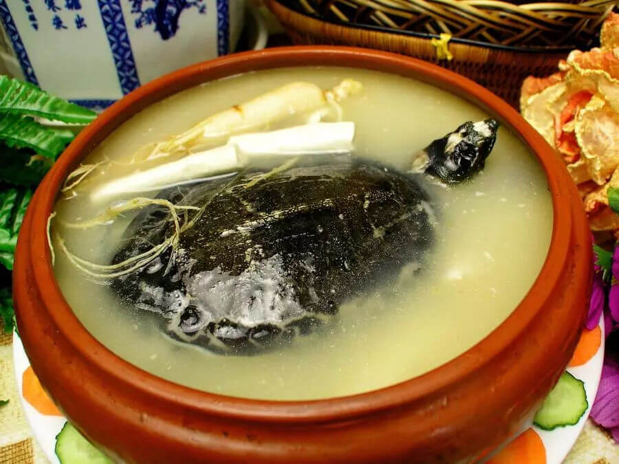 суп из черепахи.jpg