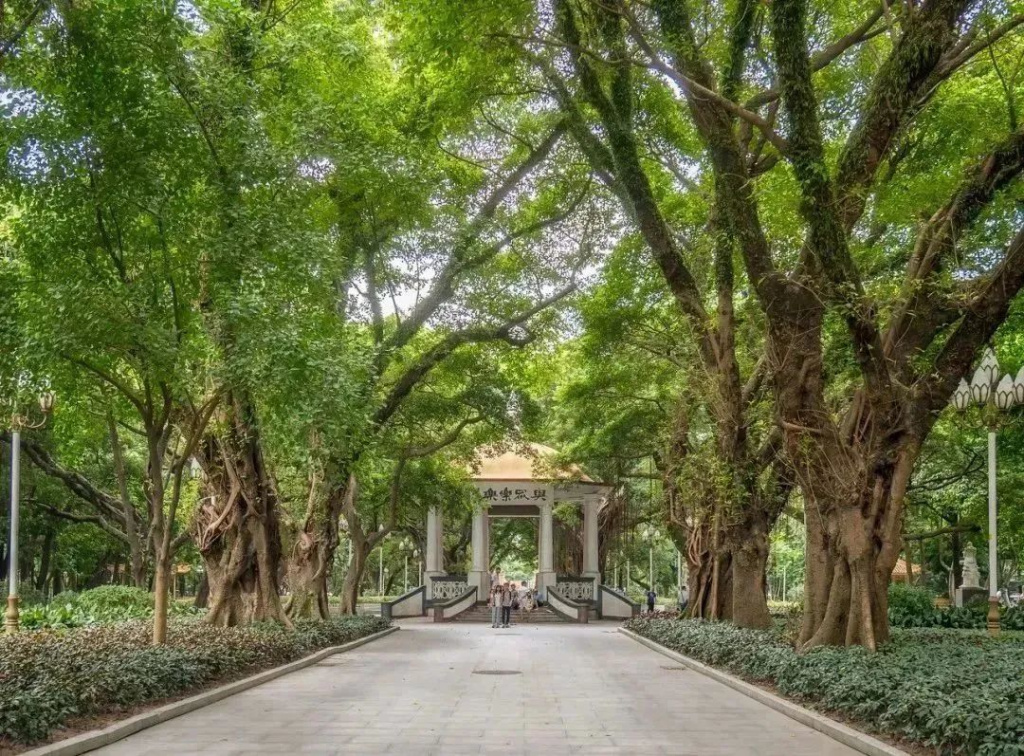 Народный парк.jpeg