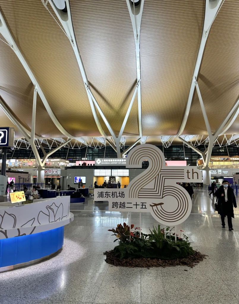 зона вылета прилета пудун.png