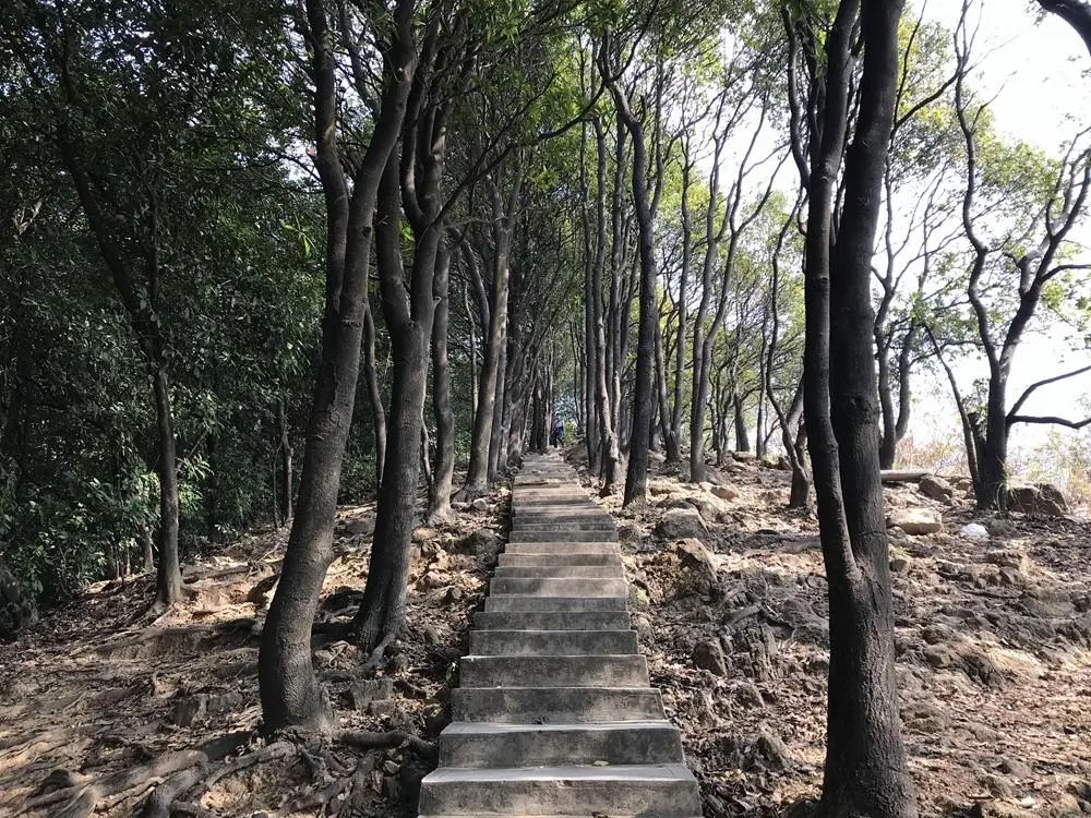 Холуншань парк.jpeg