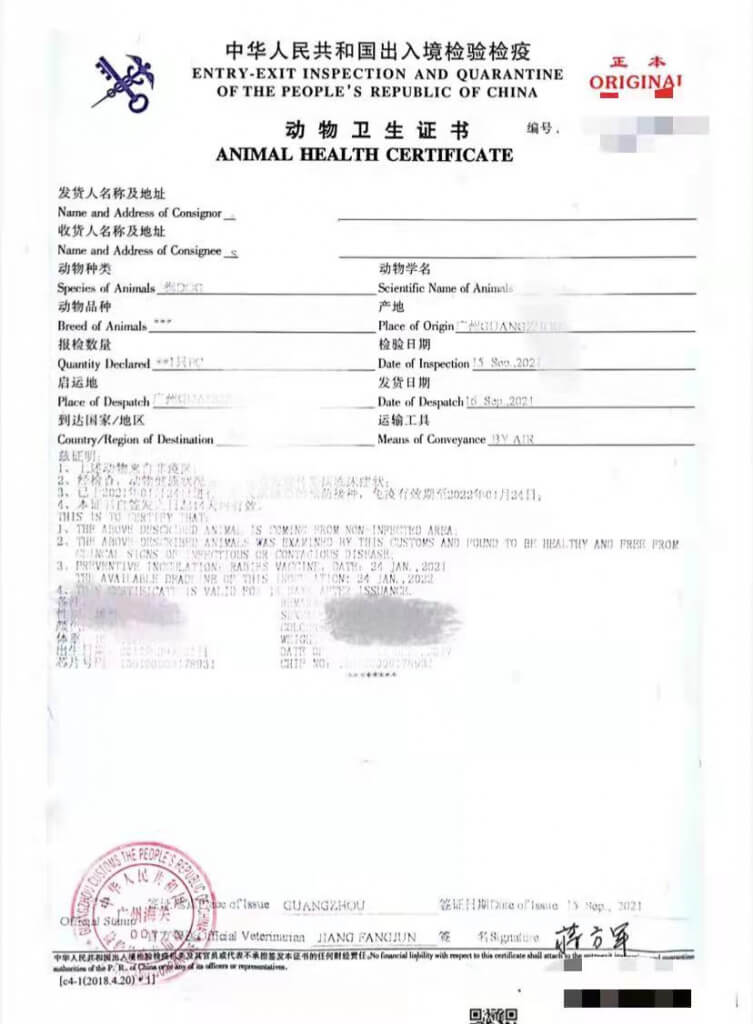 карантинный сертификат.JPG
