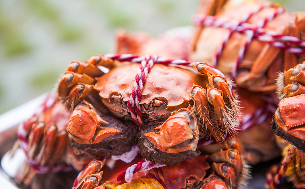 Шанхайский волосатый краб.jpg