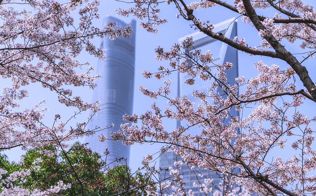 погода в Шанхае.jpg погода в Шанхае.jpg