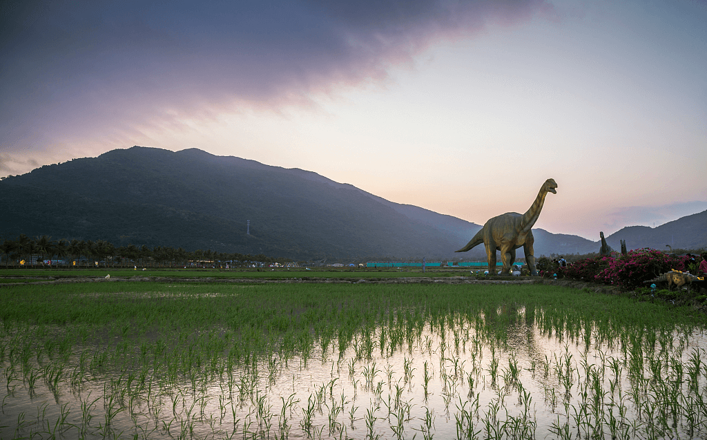 三亚水稻国家公园.jpg 三亚水稻国家公园.jpg