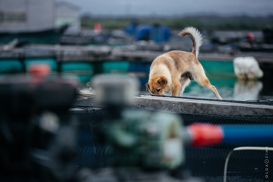 OlgaZima-1915.jpg OlgaZima-1915.jpg