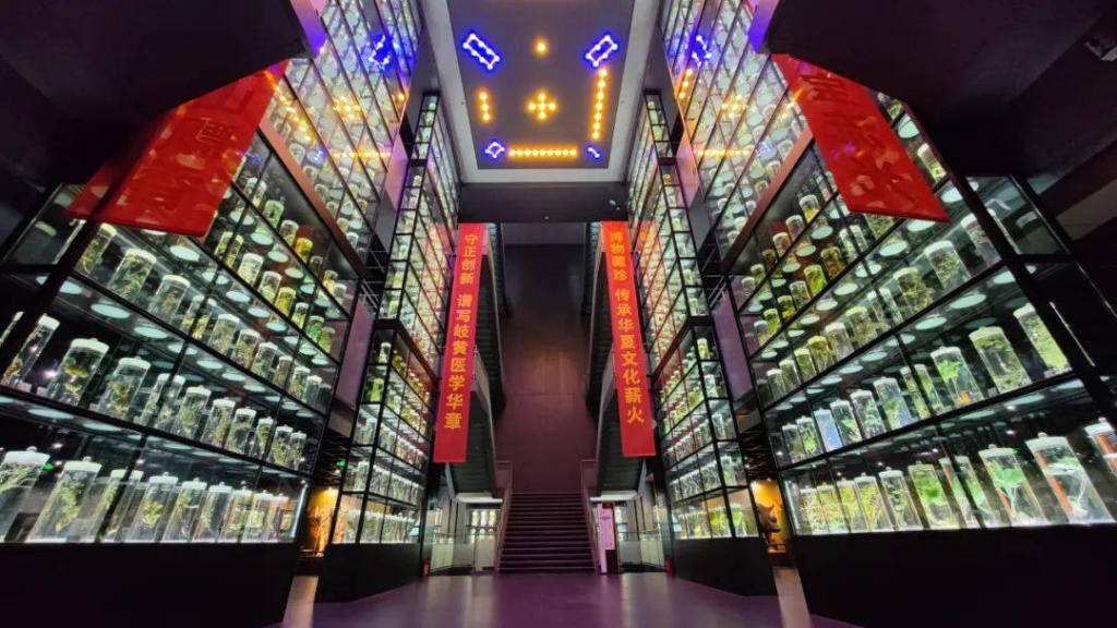 музей ткм.jpeg музей ткм.jpeg