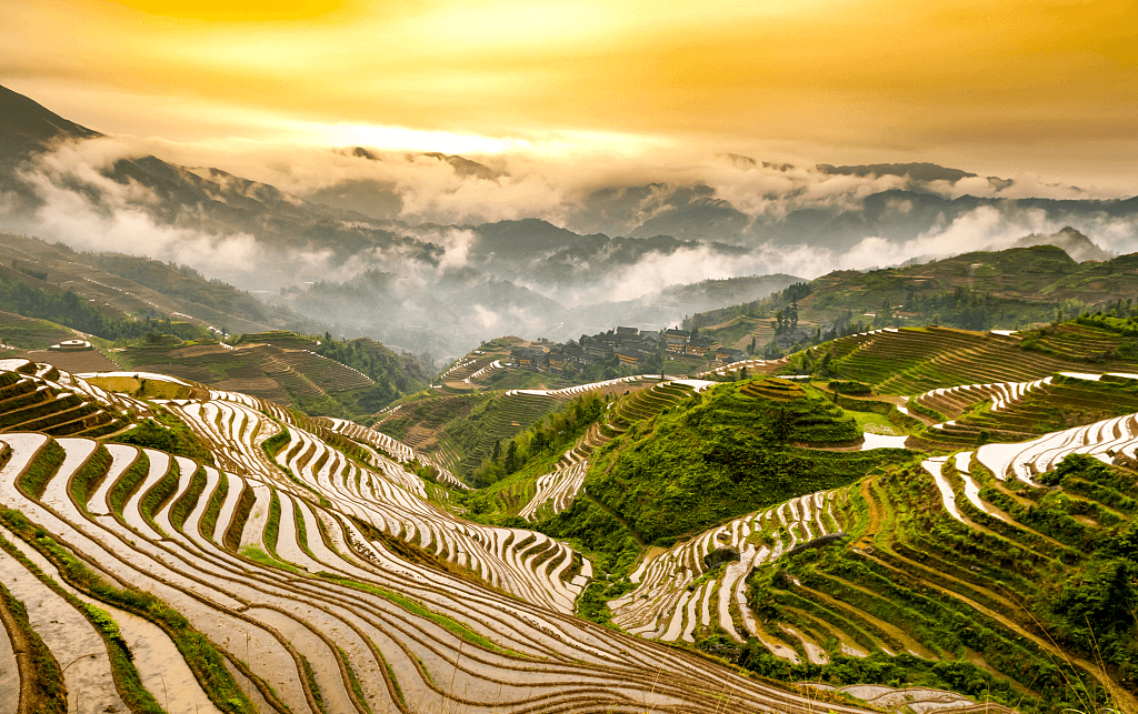 рисовые террасы гуйлинь.jpg рисовые террасы гуйлинь.jpg