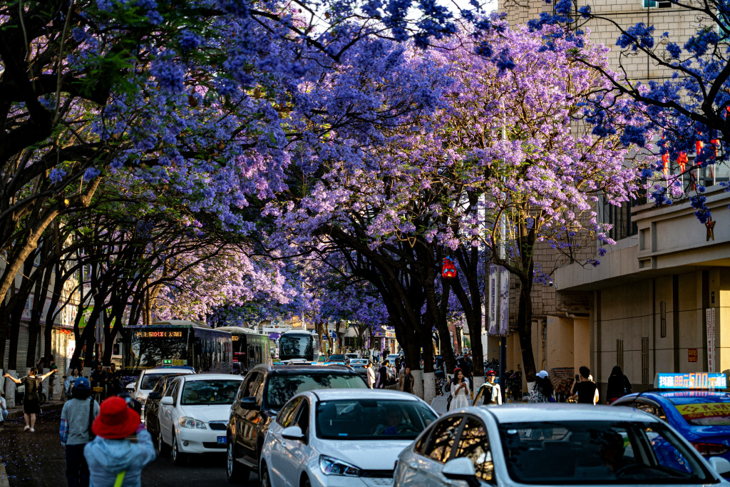 Погода в Куньмине.jpg Погода в Куньмине.jpg