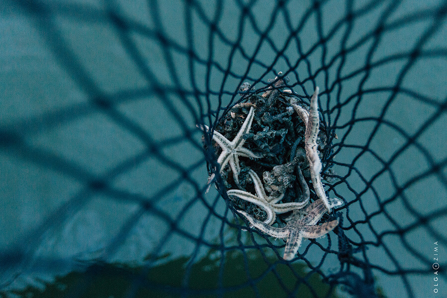 033A2698.jpg 033A2698.jpg