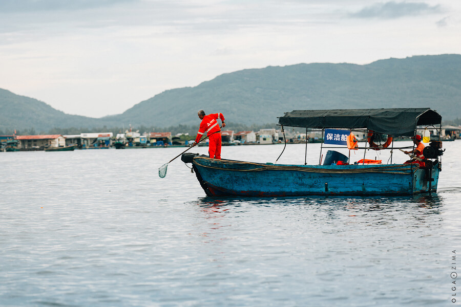 033A1695.jpg 033A1695.jpg