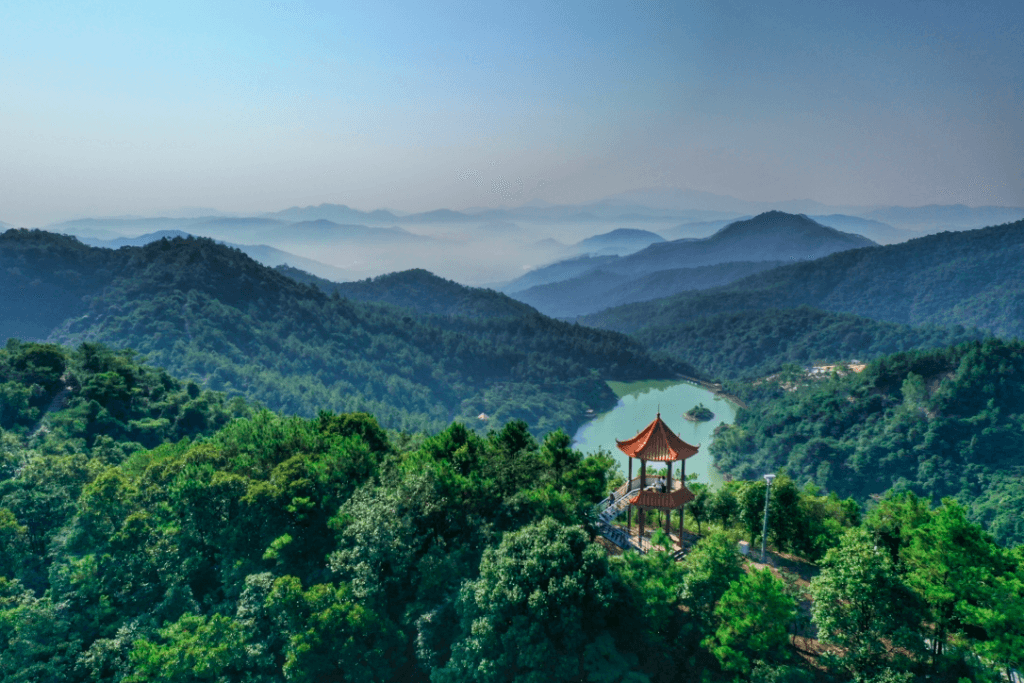 白江湖森林公园.png 白江湖森林公园.png