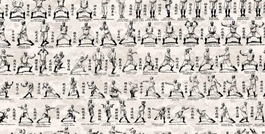 кунфу.png кунфу.png
