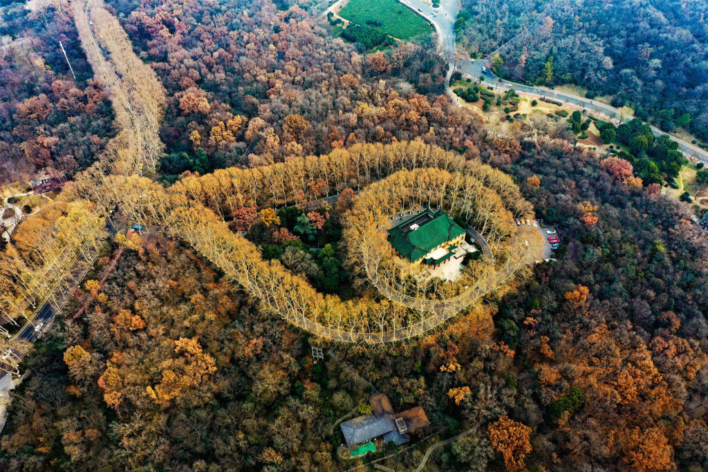 Пурпурная гора .jpg Пурпурная гора .jpg