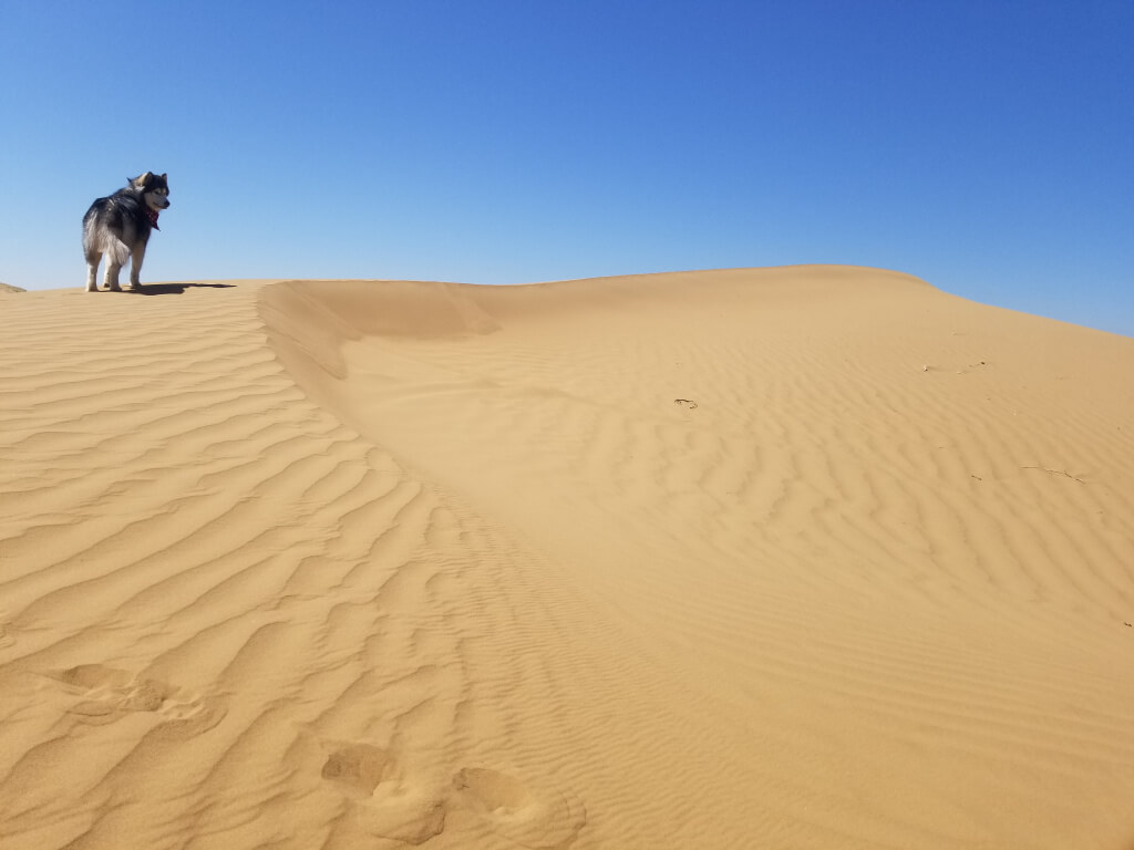 20210722_105902.jpg 20210722_105902.jpg