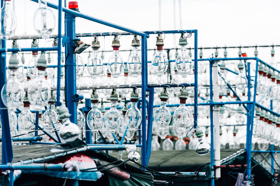 033A1612.jpg 033A1612.jpg