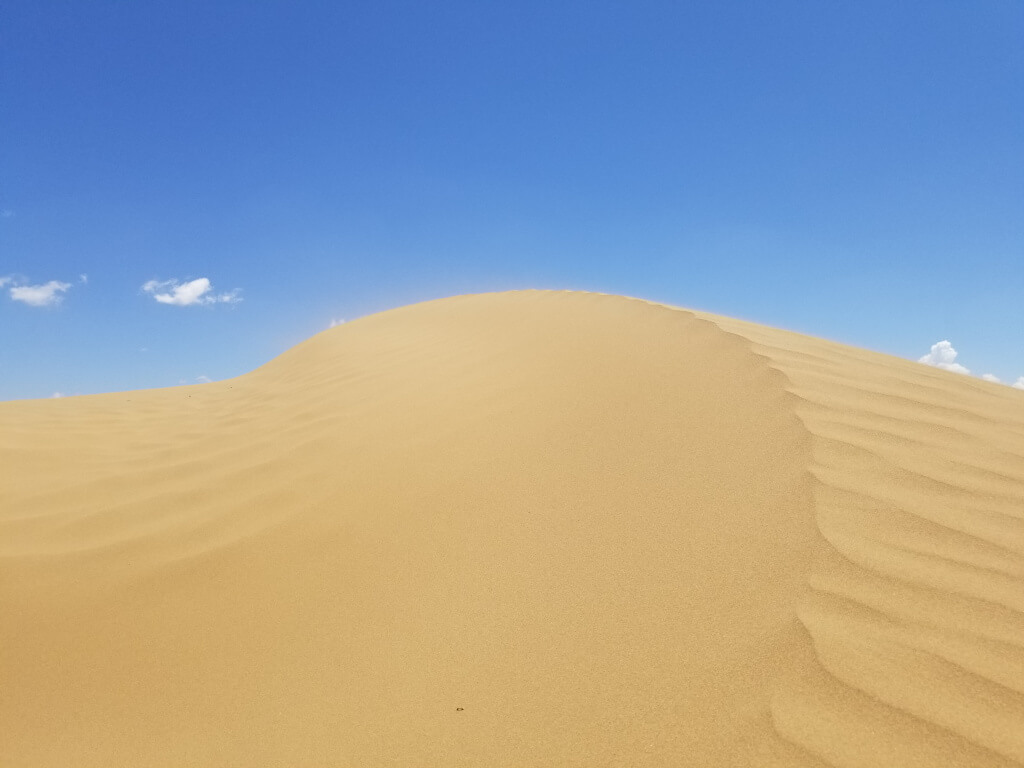 20210722_123331.jpg 20210722_123331.jpg