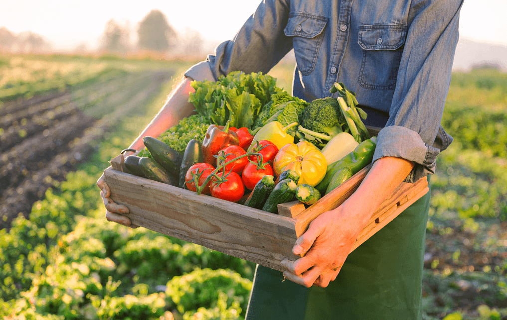 овощи.jpg овощи.jpg