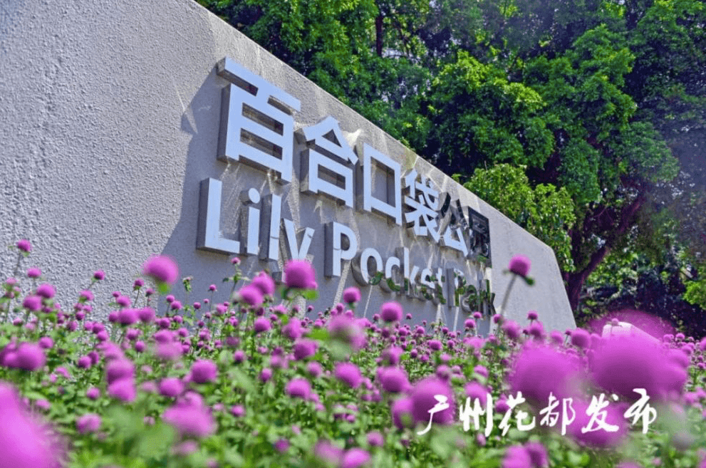 百合口袋公园.png 百合口袋公园.png