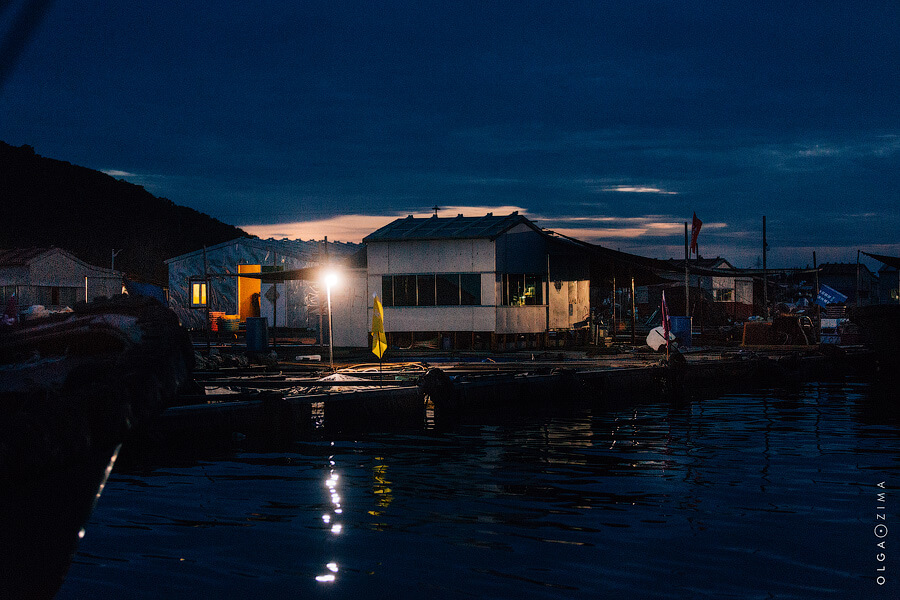 033A2877.jpg 033A2877.jpg