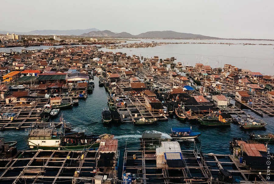 OlgaZima-0601.jpg OlgaZima-0601.jpg