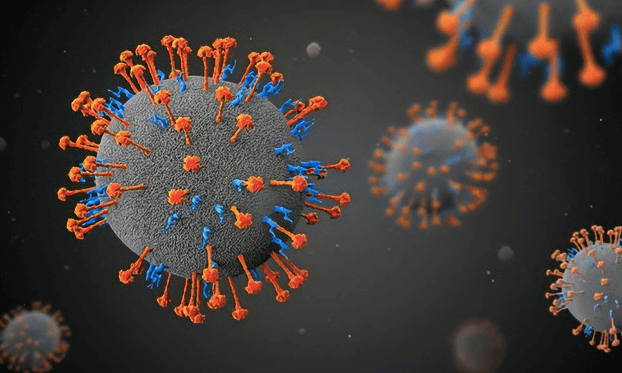 вирус ланье.png вирус ланье.png